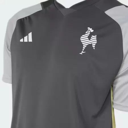 Camisa Atlético Mineiro Treino - 2024/25 Preta