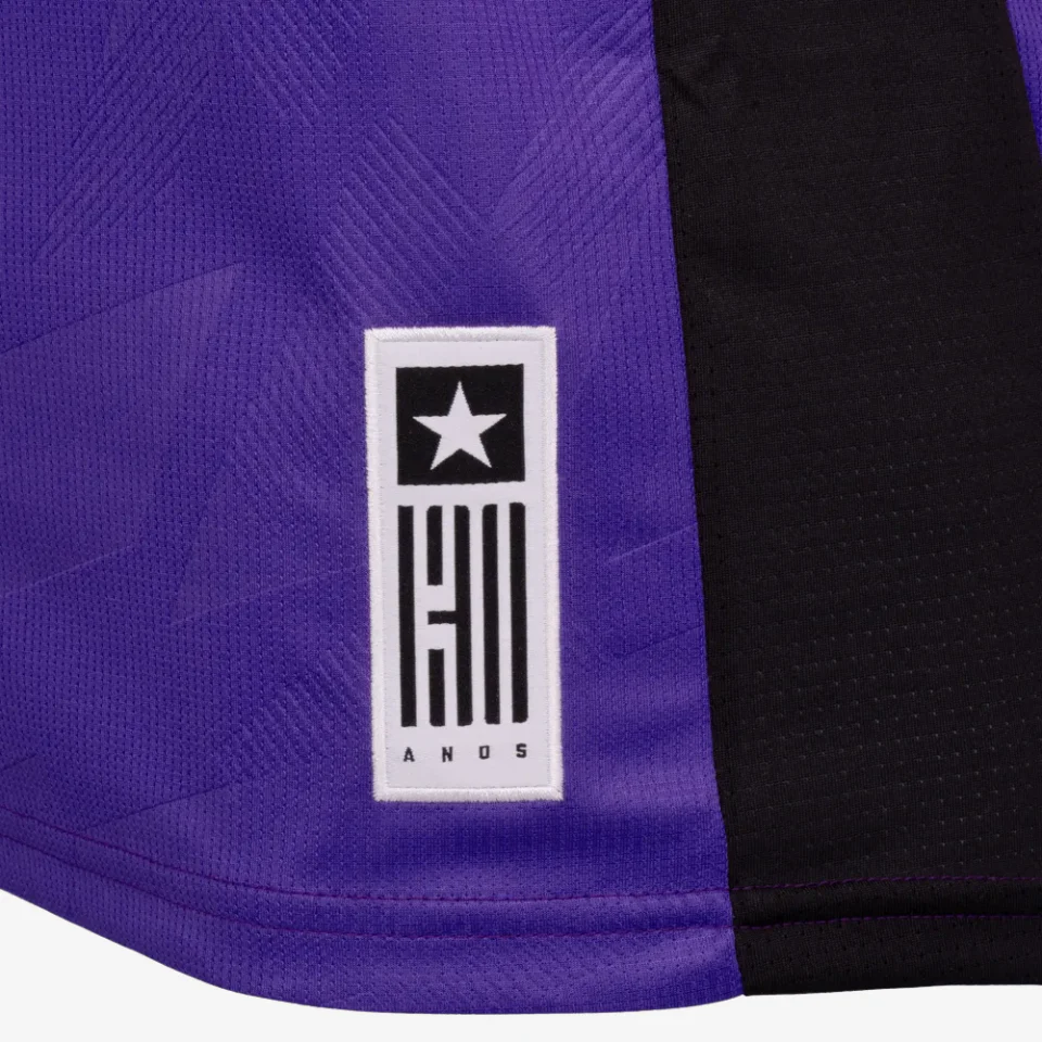 Camisa Botafogo Goleiro IV - 2024/25 Roxa