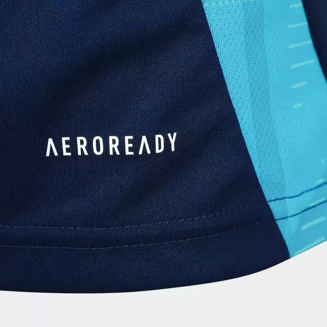 Camisa Flamengo Treino - 2025/26 Azul
