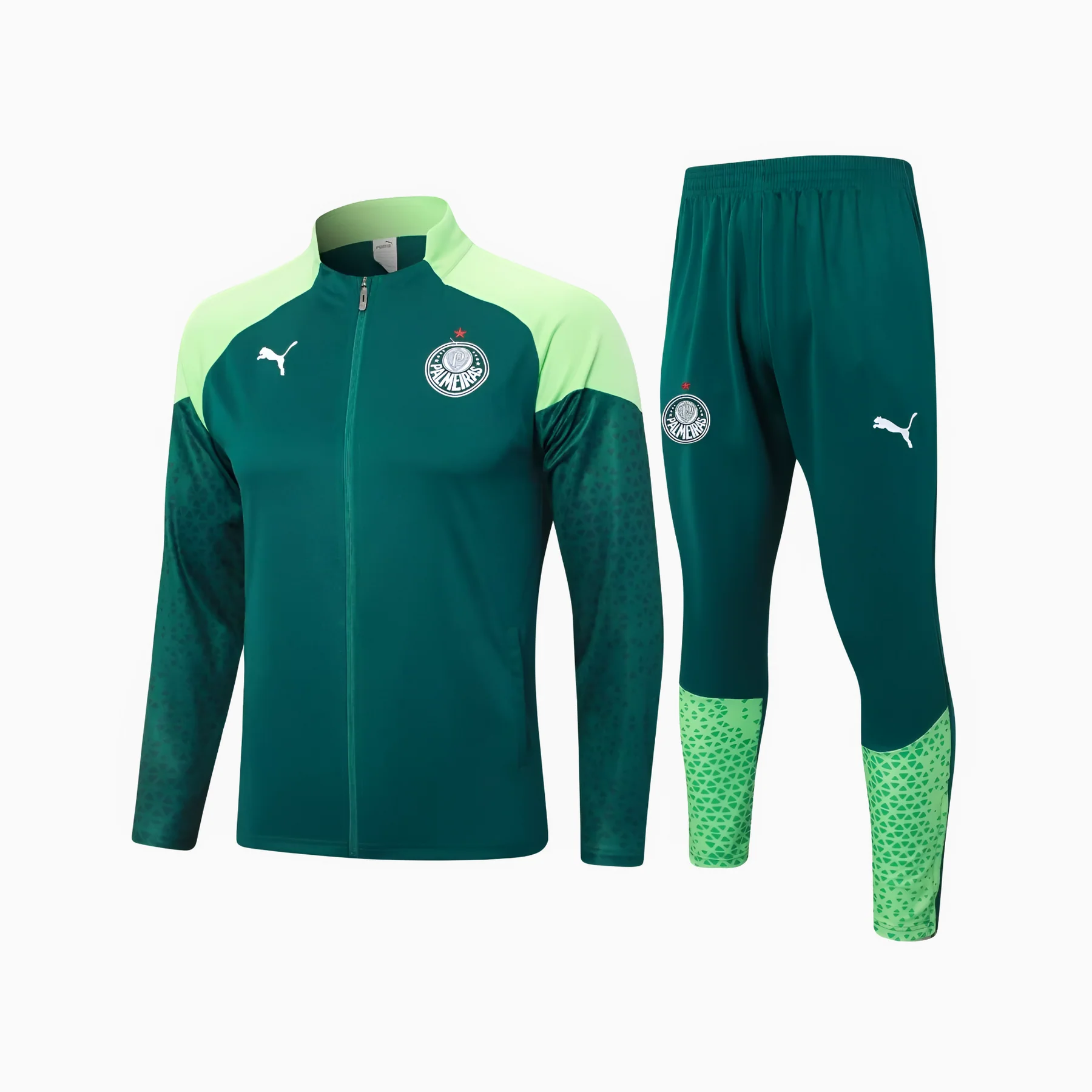 Conjunto Palmeiras Treino - 2024/25