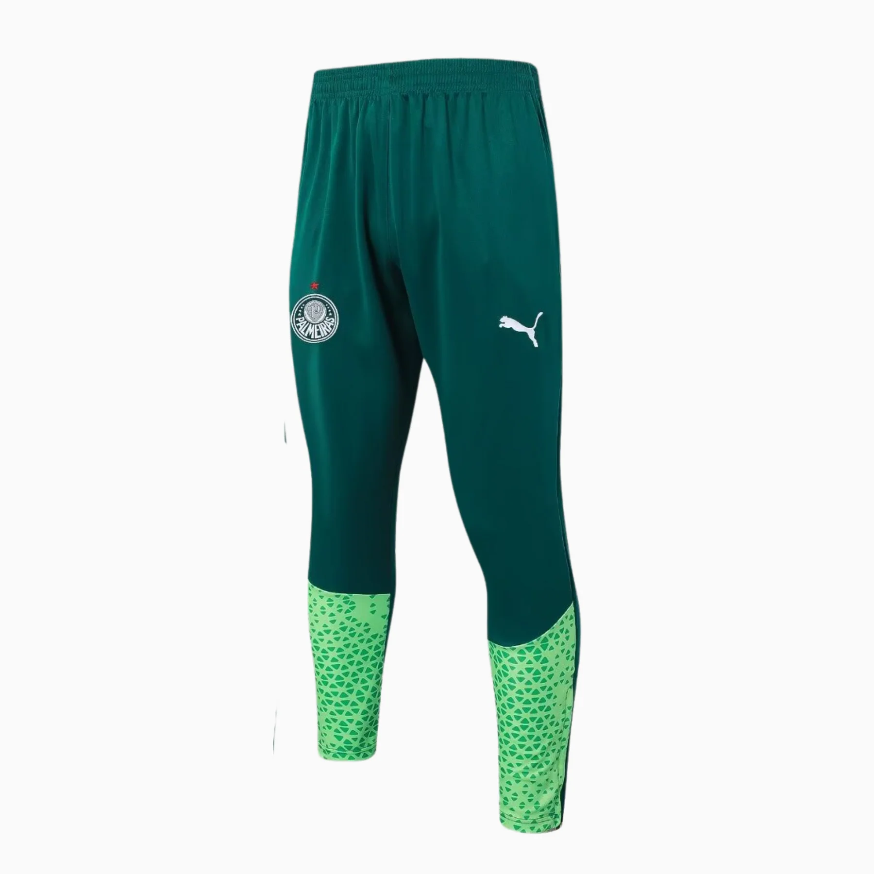 Conjunto Palmeiras Treino - 2024/25