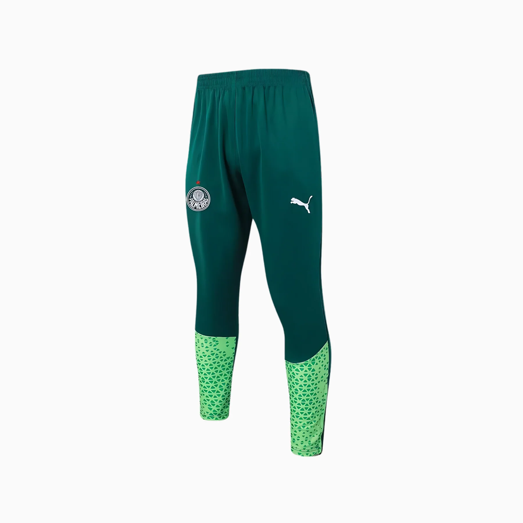 Conjunto Palmeiras Treino - 2024/25