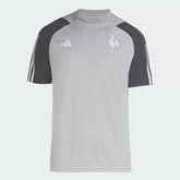 Camisa Atlético Mineiro Treino - 2024/25 Cinza
