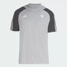 Camisa Atlético Mineiro Treino - 2024/25 Cinza