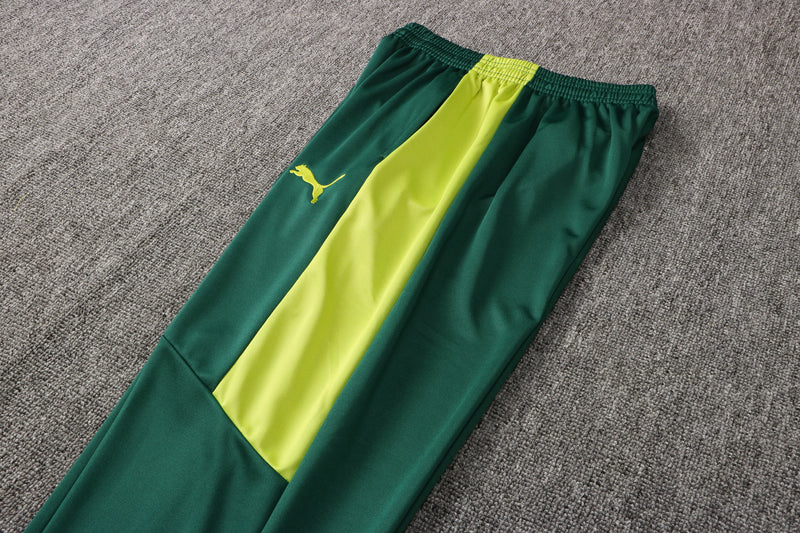 Conjunto Puma Palmeiras Treino - 2021/22
