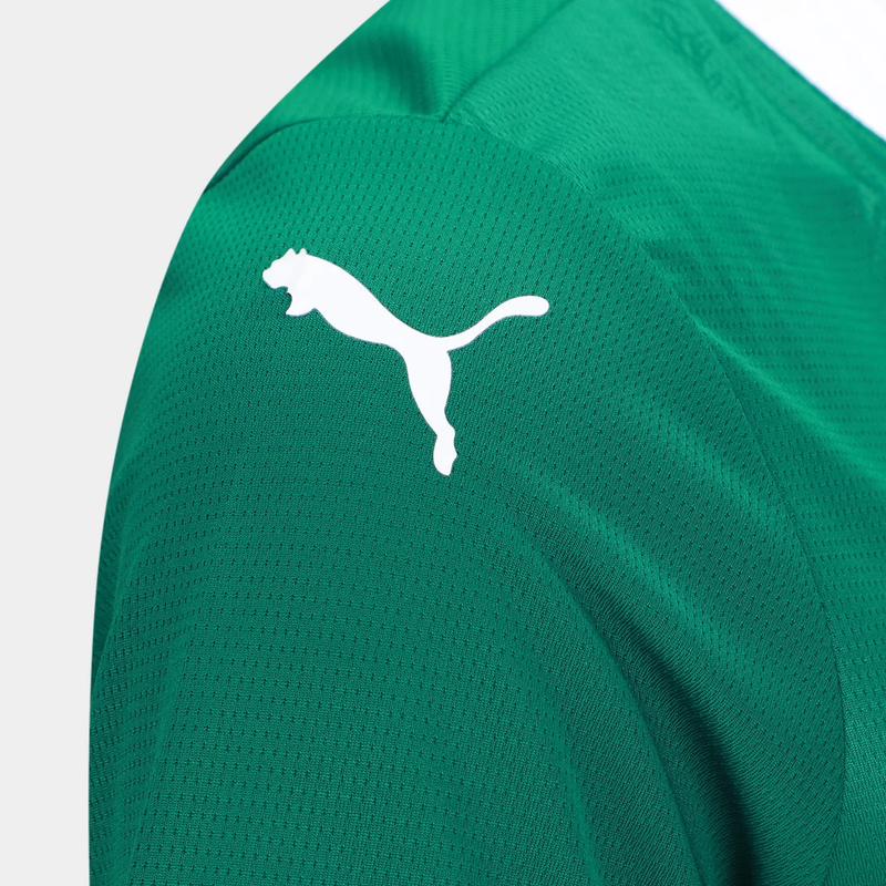 Camisa Palmeiras Feminina I - 2025/26 Verde