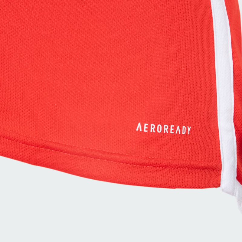 Camisa Jogador Internacional I - 2024/25
