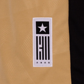 Camisa Botafogo Goleiro II - 2024/25