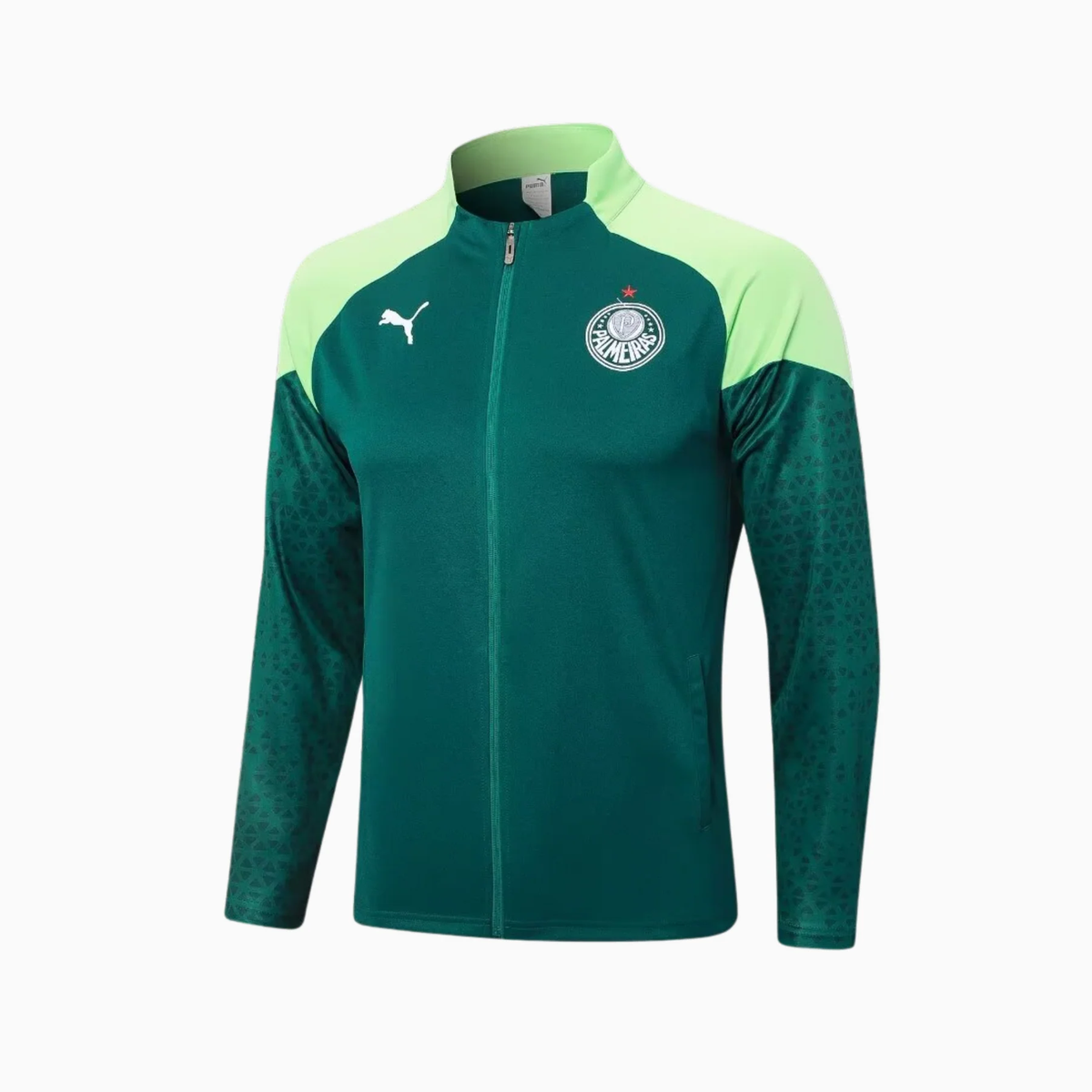 Conjunto Palmeiras Treino - 2024/25