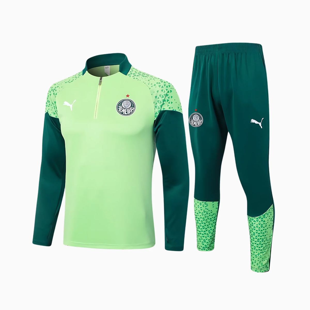Conjunto Palmeiras Treino - 2024/25